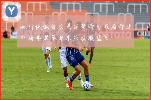 独行侠低价交易东契奇与浓眉奇才布局羊眉萨尔未来发展蓝图