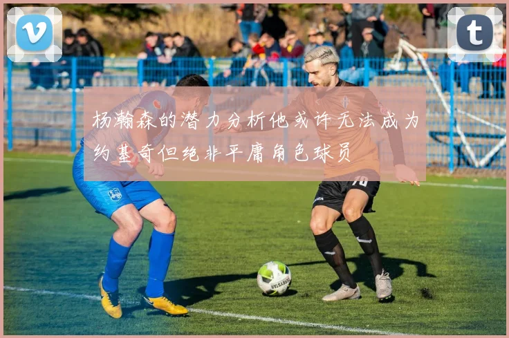 杨瀚森的潜力分析他或许无法成为约基奇但绝非平庸角色球员
