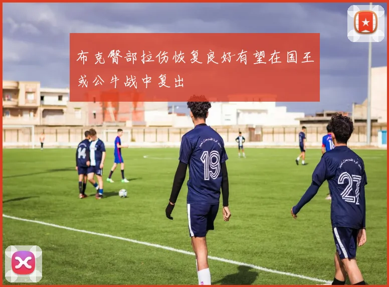 布克臀部拉伤恢复良好有望在国王或公牛战中复出