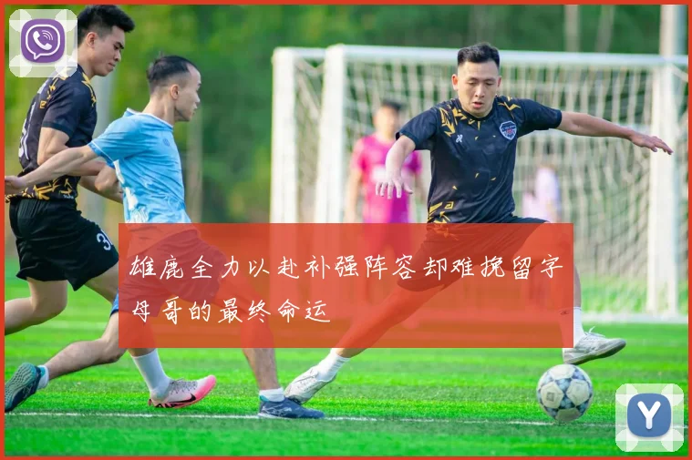 雄鹿全力以赴补强阵容却难挽留字母哥的最终命运